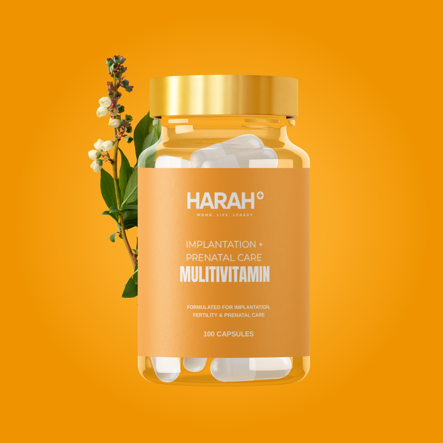 Implantation + Prenatal Care Multivitamin