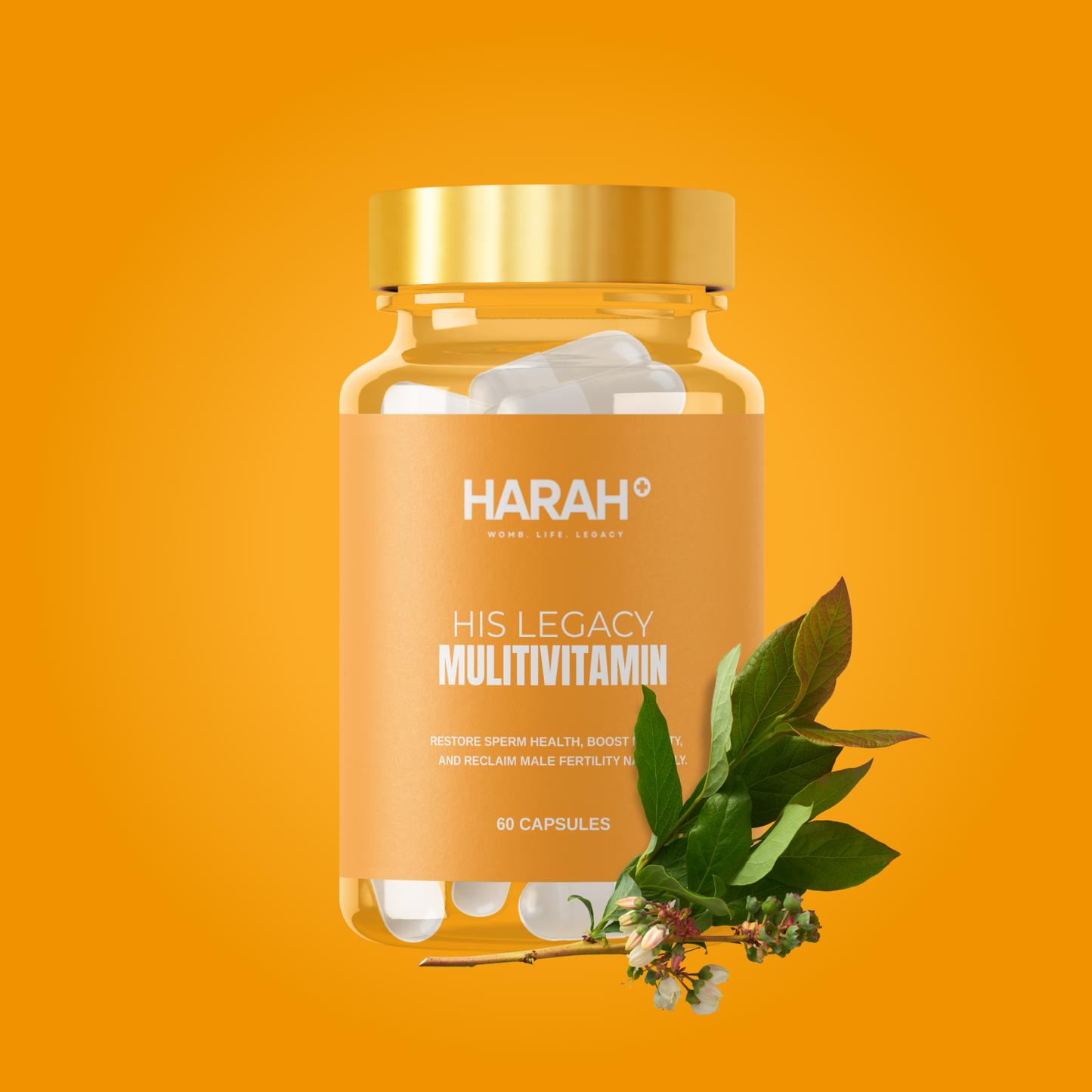 His Legacy Multivitamin - Sperm Health & Mobility