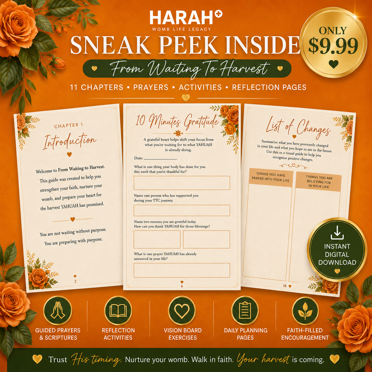 From Waiting To Harvest - Faith Based Pregnancy Guide E-Book