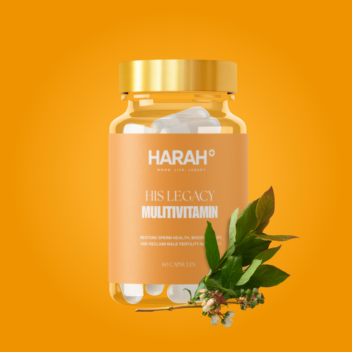 His Legacy Multivitamin - Sperm Health & Mobility