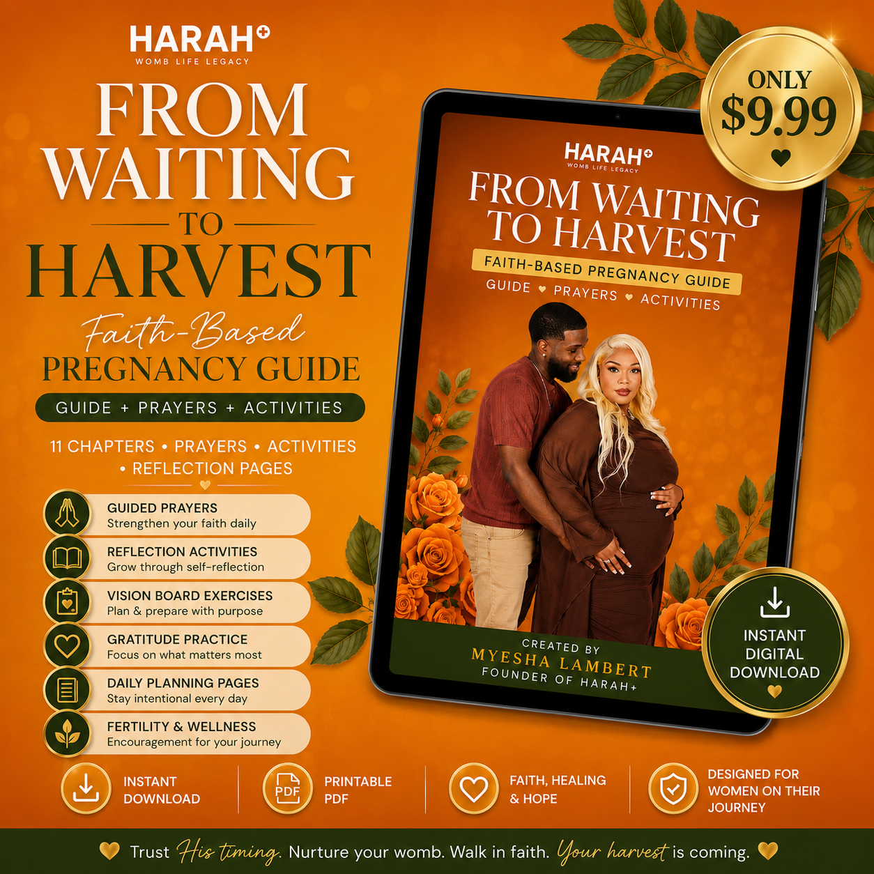 From Waiting To Harvest - Faith Based Pregnancy Guide E-Book