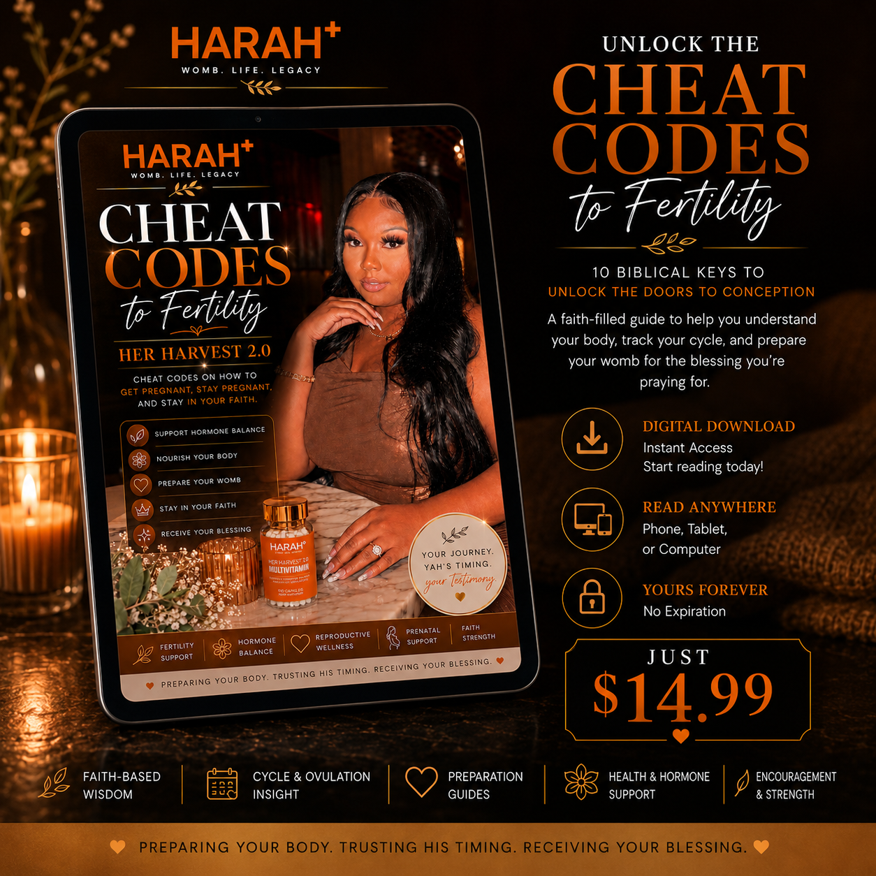 Cheat Codes To Fertility - How To Get Pregnant & Stay Pregnant E-Book